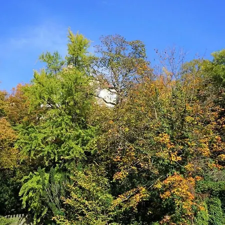 Lebenswert Ferienwohnung Lebenswert Ii Apartment Meersburg